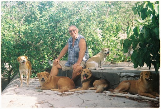 Image by Đạt Đào