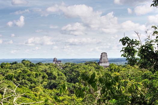 Tikal Mayan pyramids at dawn — Guatemala