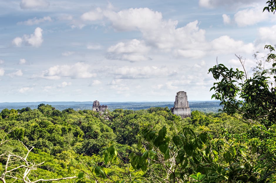 Otra foto de Tikal