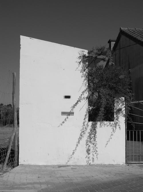 Black and White Picture of a White Wall and a Fence Outside of a Building 