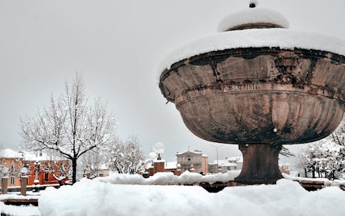 Foto profissional grátis de clima, coberto de neve, com frio