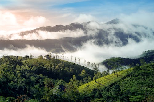 Low Lying clouds in the Mountain