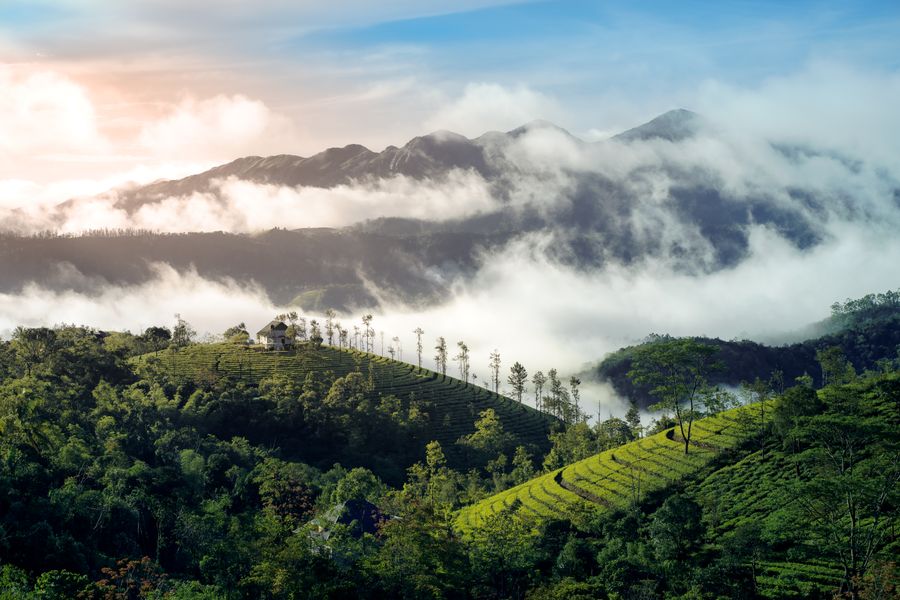 Wayanad photo 2