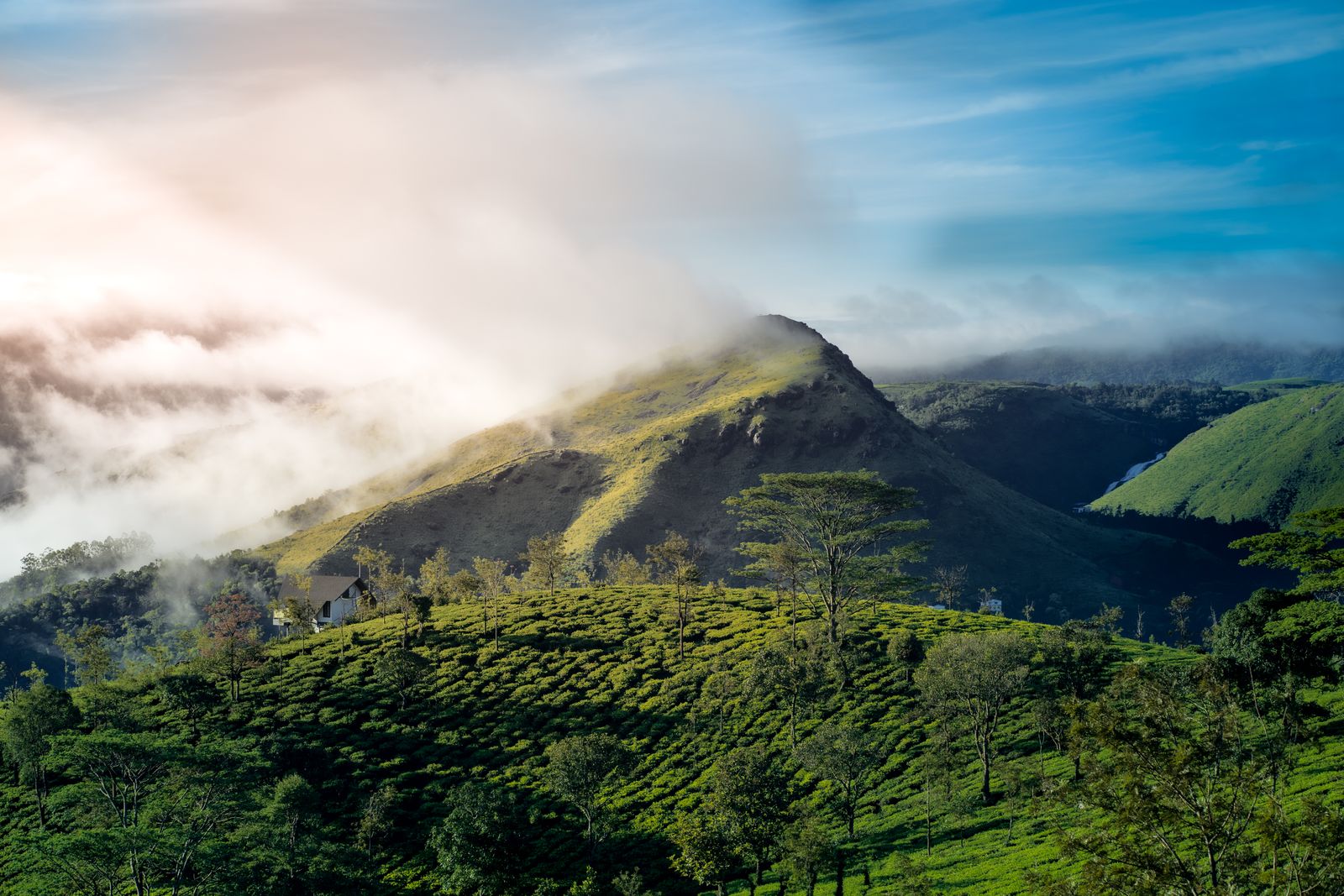 Vagamon Retreat
