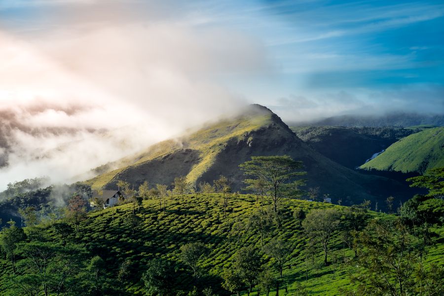 Wayanad photo 5