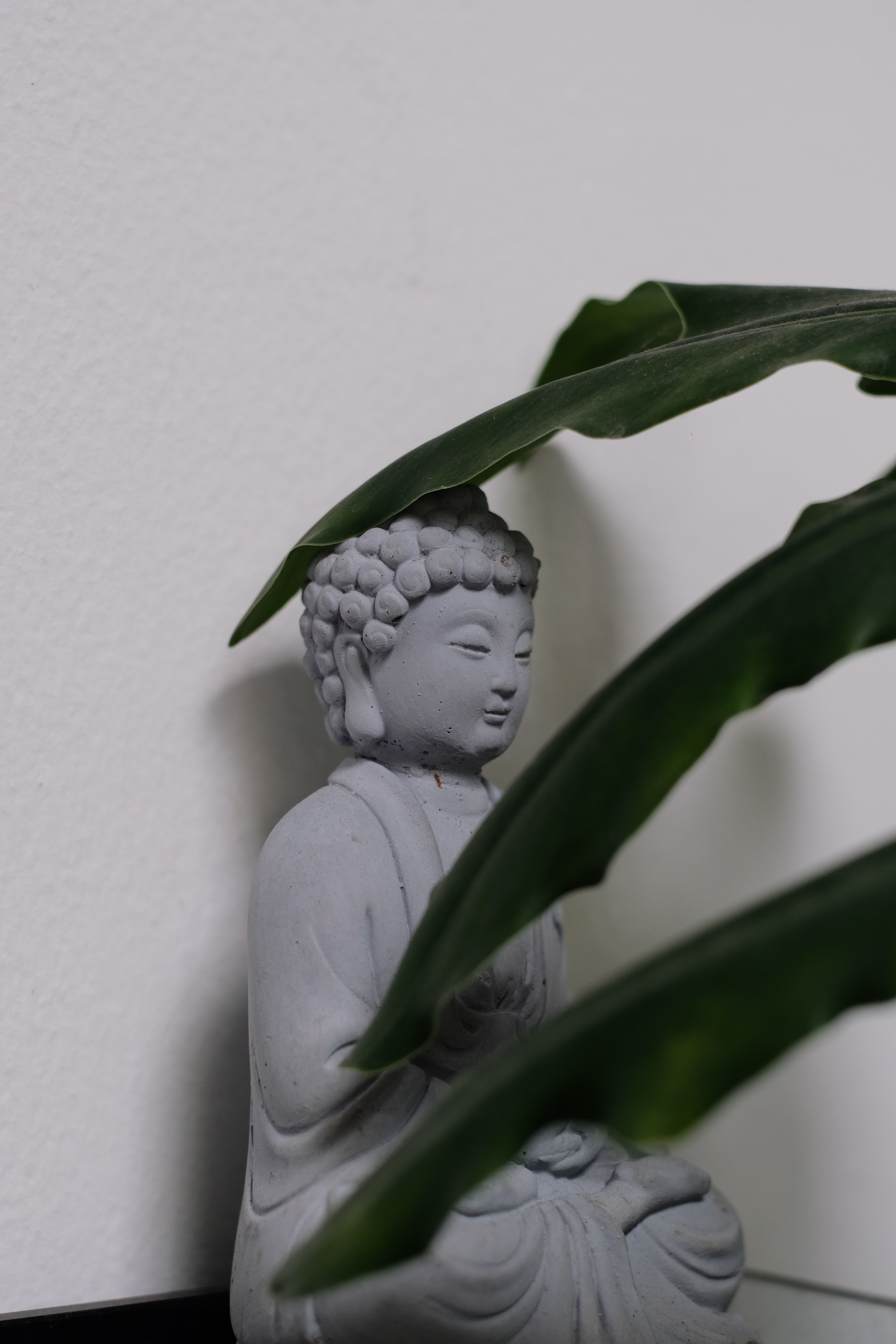 A Buddha sculpture surrounded by green leaves, exuding tranquility and peace.