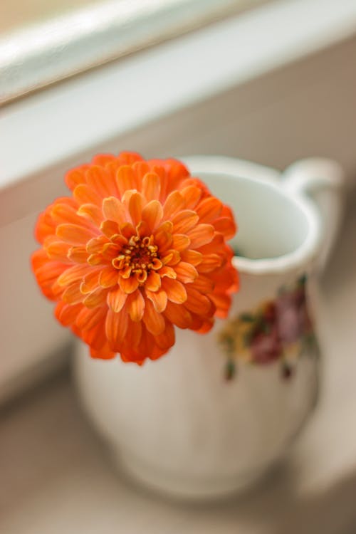 Ücretsiz çiçek, Çiçek açmak, dikey atış içeren Ücretsiz stok fotoğraf Stok Fotoğraflar