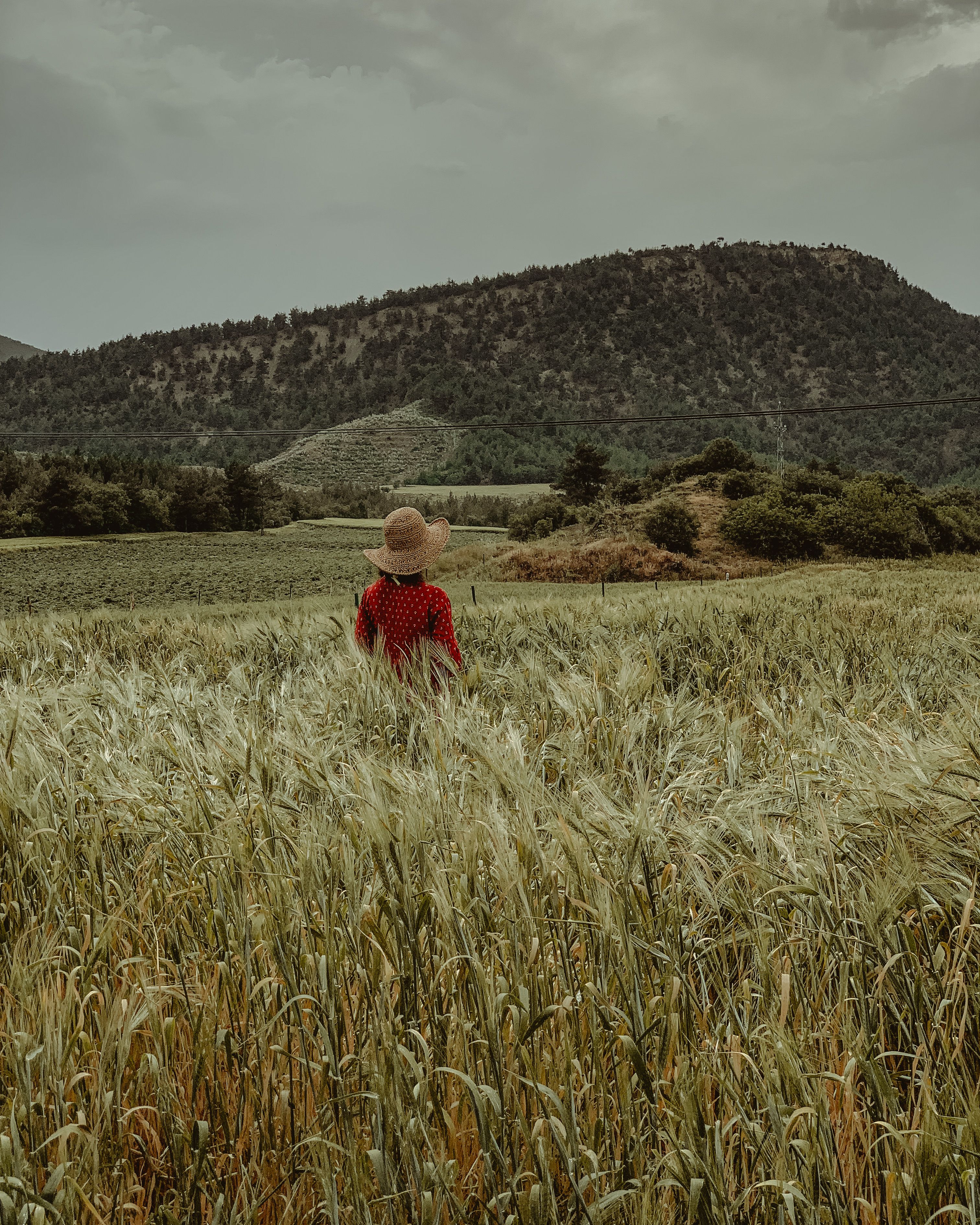 A woman in a straw hat stands in a rural wheat field with mountain backdrop.