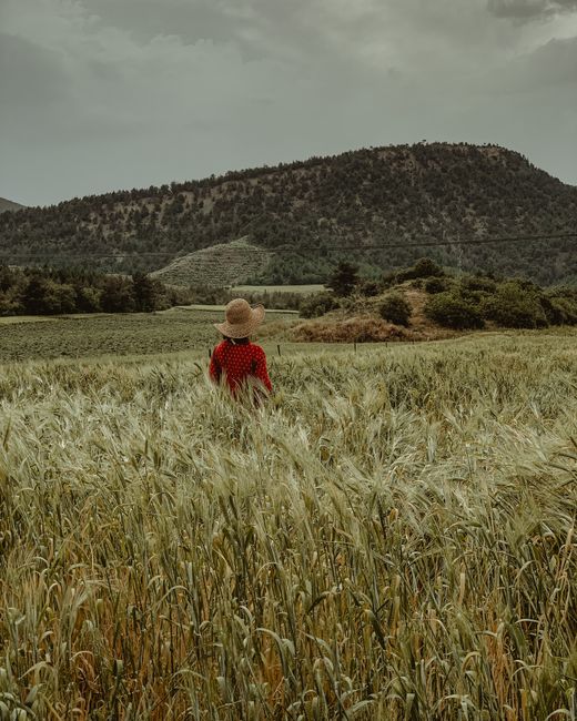 A woman in a straw hat stands in a rural wheat field with mountain backdrop.