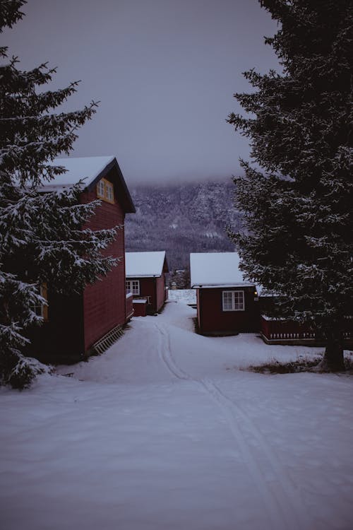 Snow Covered Houses on Snow Covered Ground