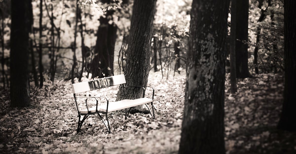 Free stock photo of austria, autumn, bench