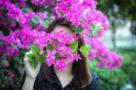 一名女子开玩笑地躲在户外充满活力的粉色九重葛花后面