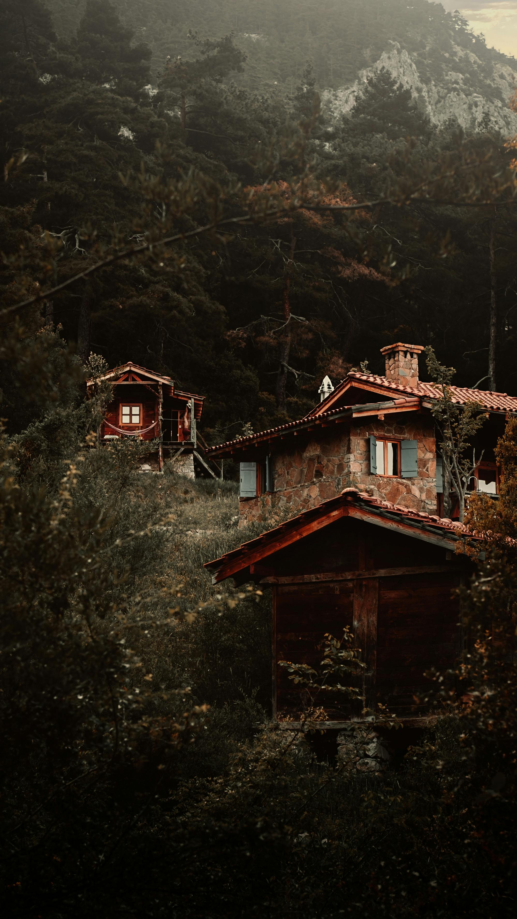 House By The Forest · Free Stock Photo