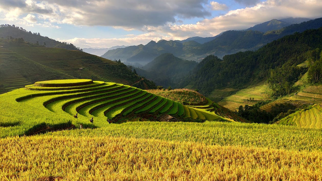 most Asian country farmland with Carland recommend Lady delilah redhead