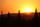 sunset forest