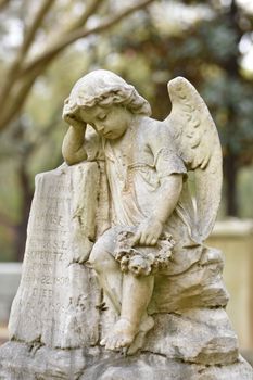 Pop Culture & Lifestyle