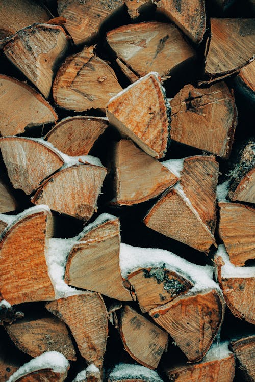 Close Up Photo of Stack of Firewoods