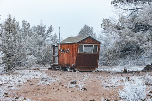 Photos gratuites de arbres, bois, cabine