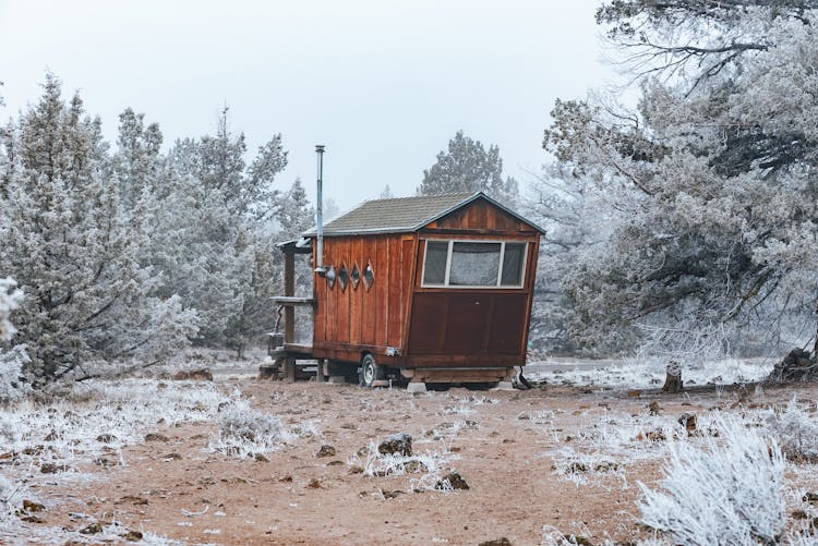 Wooden Cabin In Forest