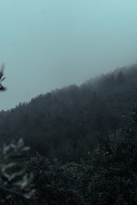 Cover art by Musa Tugrul Karatas on Pexels