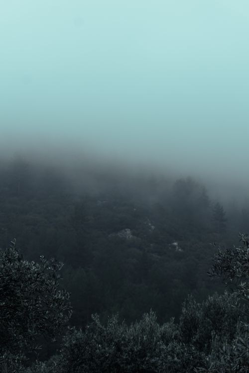 Fog over hills by Musa Tuğrul Karataş on Pexels