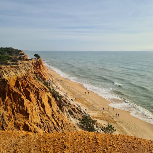 High Angle Shot of Beach During Daytime