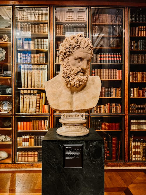 A Sculpture in a Library 