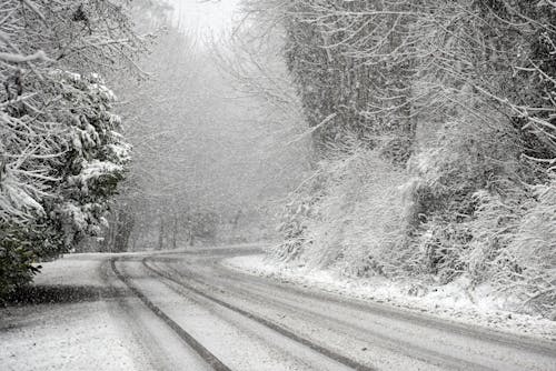 Foto d'estoc gratuïta de carretera, cobert de neu, congelant