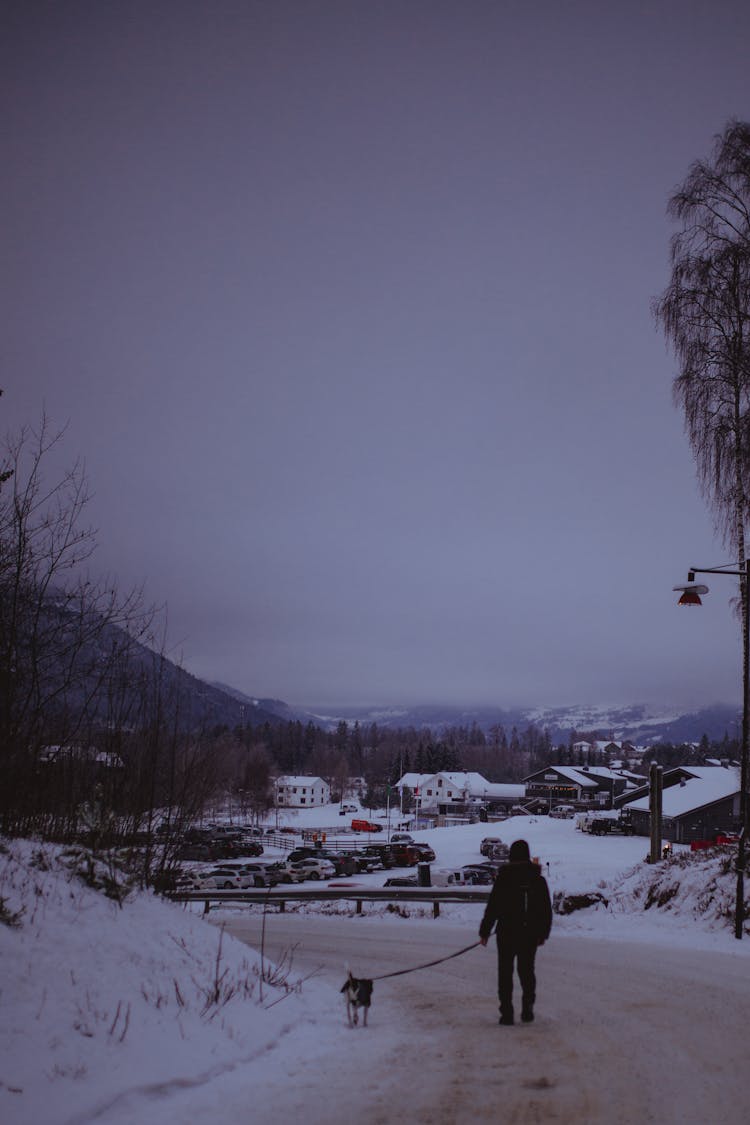 Woman Walking With Dog In Winter