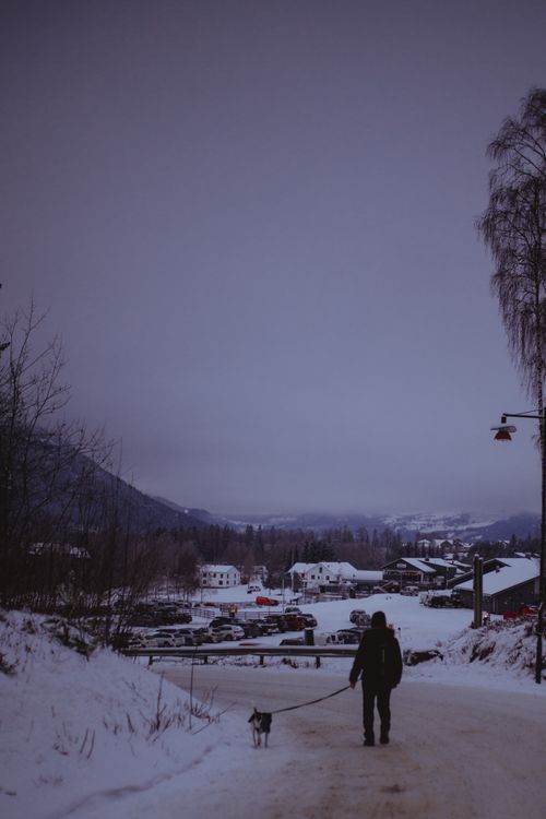 Free A person walks their dog in a serene snow-covered mountain village at dusk. Stock Photo