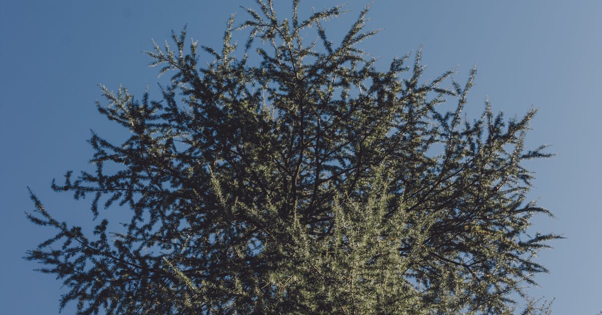 🎉 2025新年期間中獎率最高的刮刮樂大揭密!✨