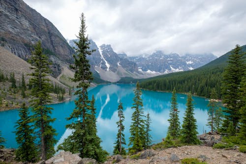 Immagine gratuita di catena montuosa, foresgt, lago