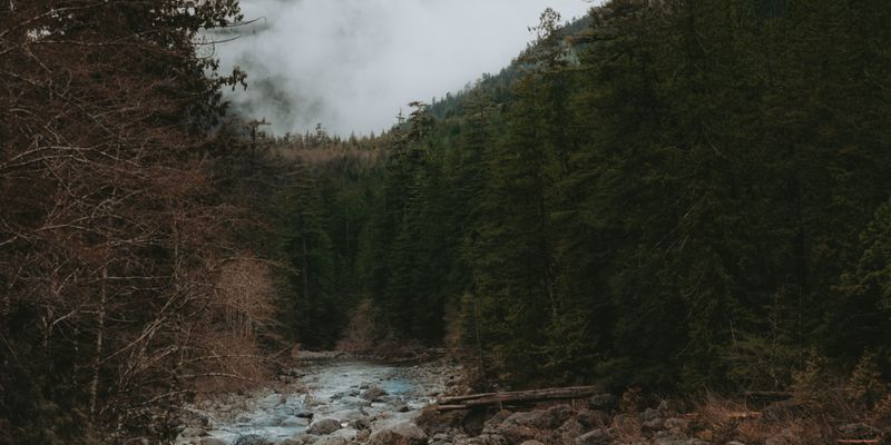 Fishing in West Virginia