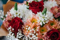 这束花色彩缤纷，以红玫瑰、伯利恒白星和菊花为特色