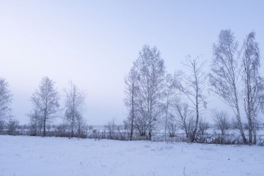 A serene winter landscape featuring snow-covered grounds and bare trees under a soft blue sky.