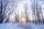 winter morning