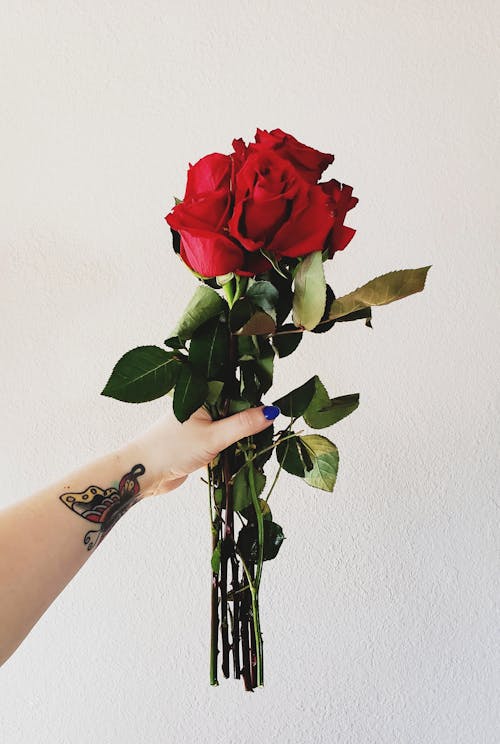 A Person Holding Red Roses
