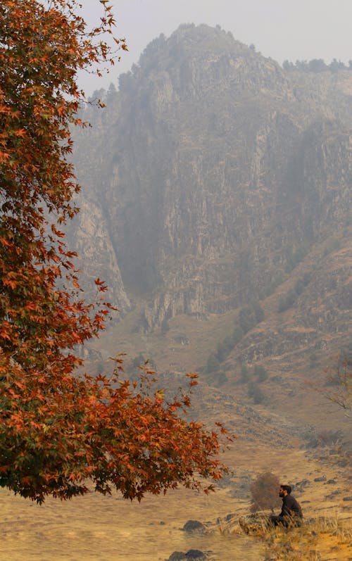 Man Contemplating in an Autumn Mountain Landscape