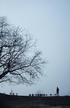 Silhouette of a man standing outdoors at dusk under a bare tree with a clear horizon.