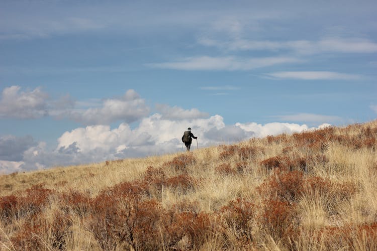 Photo Of A Person Hiking 