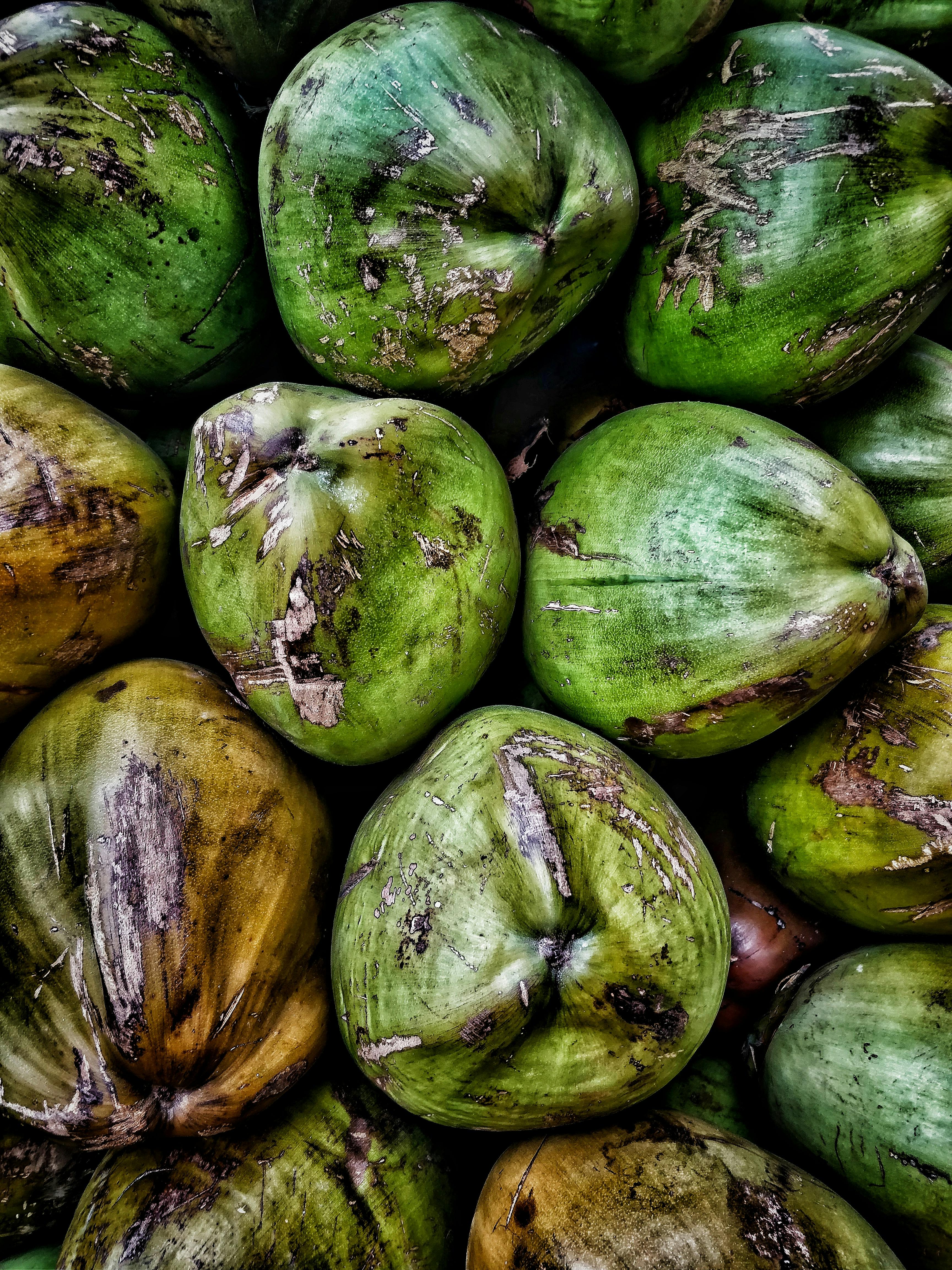 Chợ hải sản với nhiều loại hải sản tươi