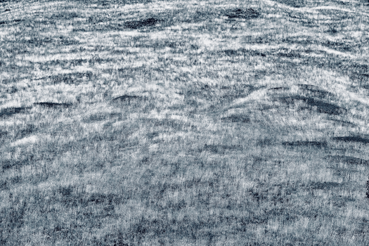Detailed grayscale photograph showing intricate textured patterns on a surface.