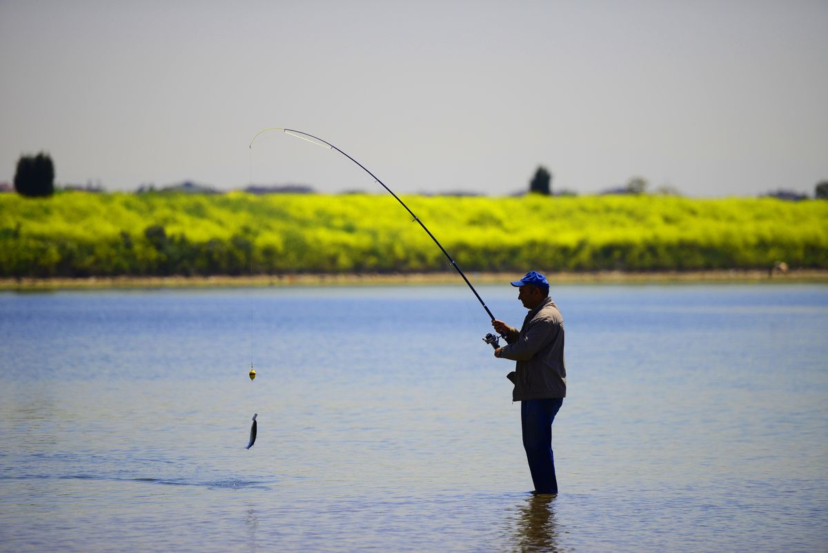 Angler casting to a seam on a summer river
