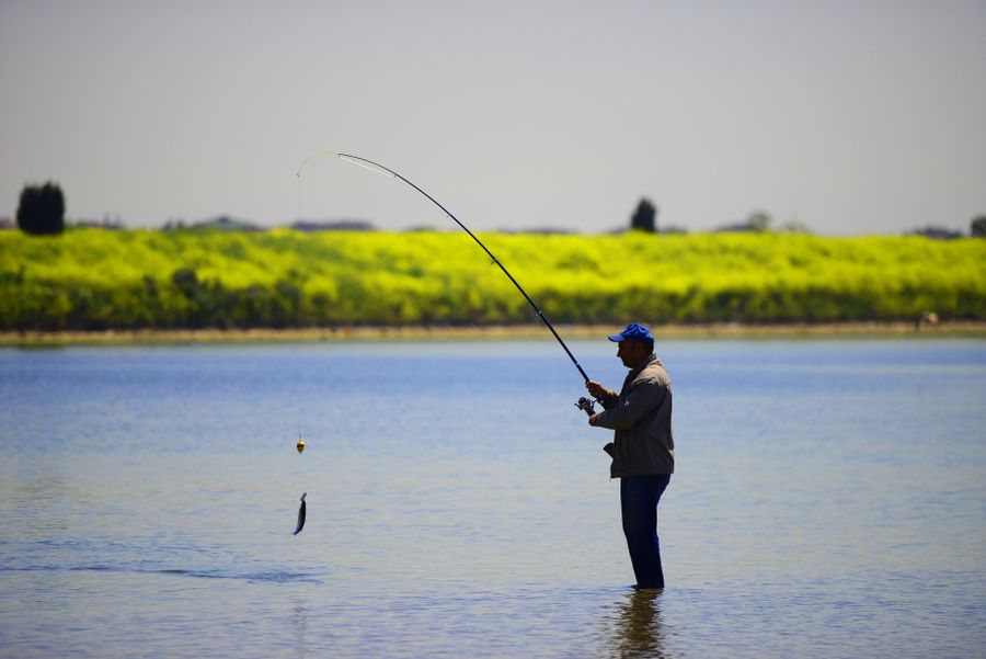 Angler wading an Alaskan glacial river with a bent fly rod