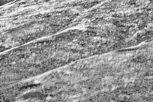 Grayscale Photo of Grass Field on Hills