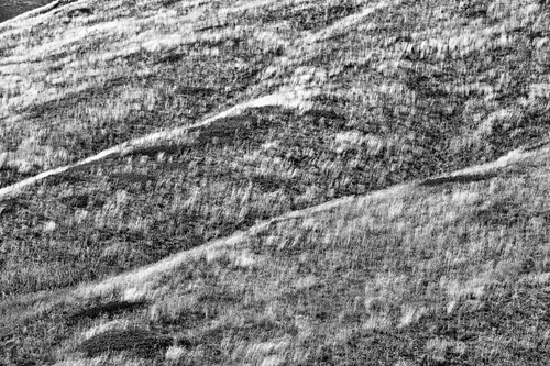 Free Monochrome shot of textured hills and grass in a rural landscape. Stock Photo