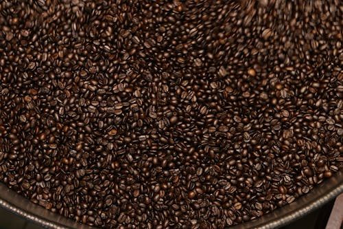 Close-up of Coffee Beans in a Large Container 