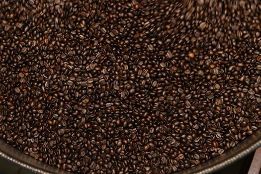 A close-up image of freshly roasted coffee beans in a container, ideal for showcasing coffee culture.