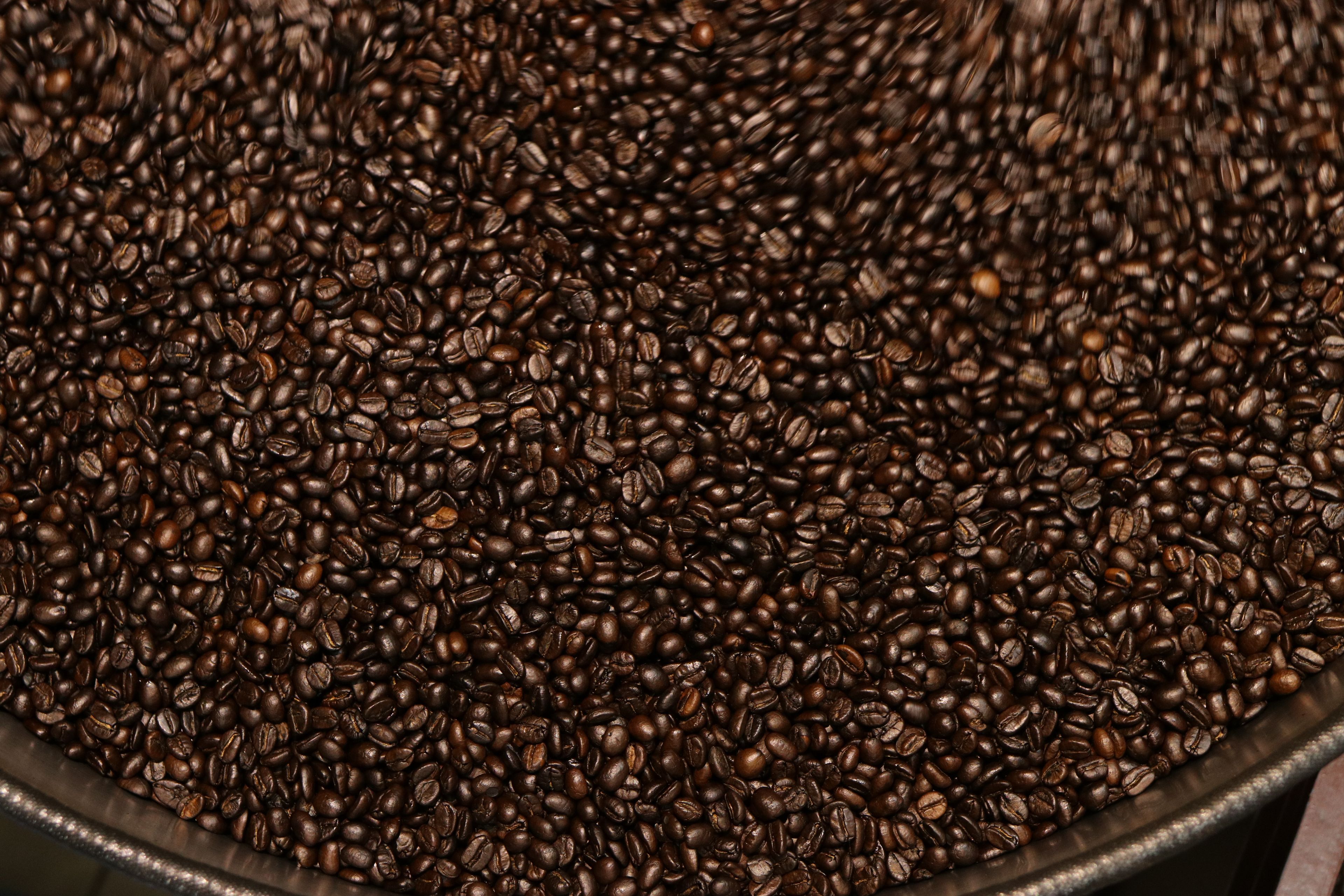 The Foundry Blend
