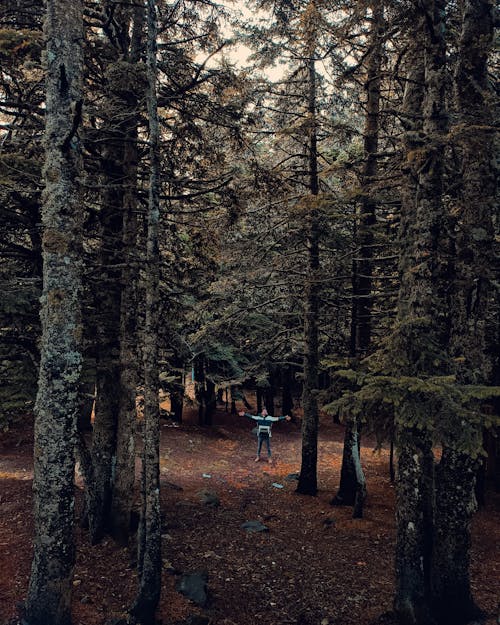 A Person Standing in a Forest with Spread Arms 